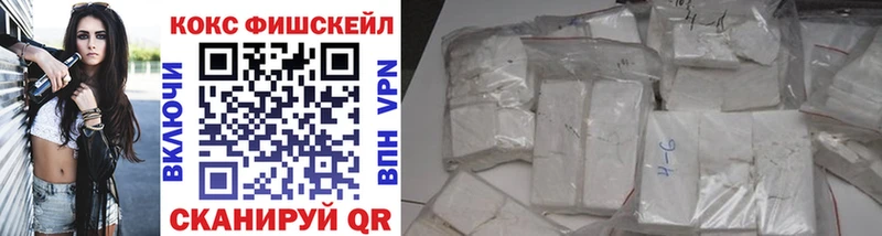 ОМГ ОМГ зеркало  Закаменск  Cocaine Fish Scale  цена наркотик 