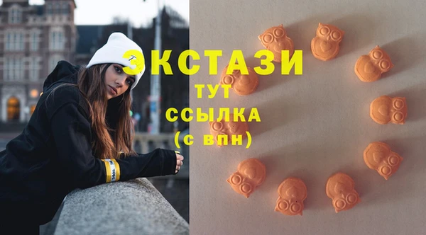 твердый Аркадак