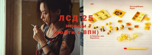твердый Аркадак